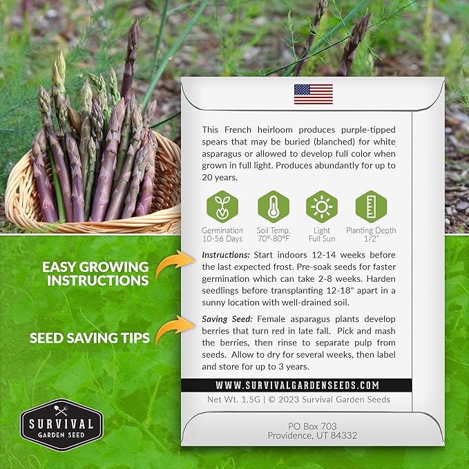 3 Packs Argenteuil Purple Asparagus Seeds for Planting with Instructions to Grow Gourmet French Asparagus in Your Home Vegetable Garden - Non-GMO Heirloom - Survival Garden Seeds