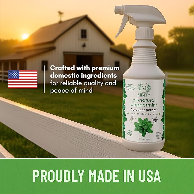 Minty Spider Repellent, Natural 5% Peppermint Oil Spray, Kills & Deters All Types of Spiders and Insects, Indoor and Outdoor Use, 128 fl oz Gallon
