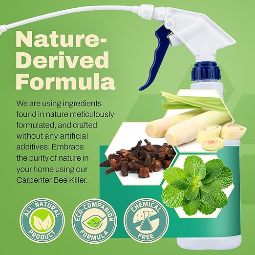All-Natural Foaming Spray - Carpenter Insect Bee Killer - Reliable Defense for All Kinds of Insects, 16 oz