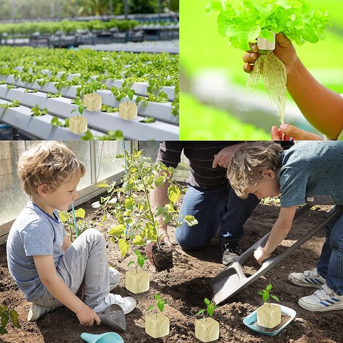 Legigo 1.5 Inch Rockwool Cubes for Hydroponics Seed Starter, Rock Wool Planting Cubes Hydroponic Garden Grow Plugs for Soilless Cultivation Plants Cutting Germination Clone(4 Sheet, 196 Plugs)