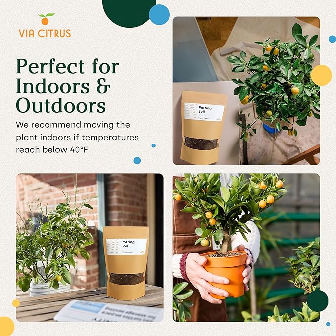 Chunky Soil Mix for Indoor Plants - Citrus Trees, Indoor Potting Soils, Loamy Soil for Tree Plant, Fruit Bedding, Lemon Tree Bedding Tropical and Potting Mix Soils (4.25 quarts) by Via Citrus
