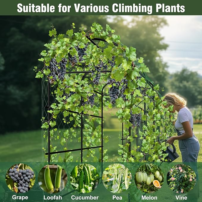unho Garden Arch Trellis for Climbing Plants,Arch Trellis for Climbing Plants Outdoor,Walkway Metal Archway Arbor Tunnel Large for Vegetables Plant Cucumber Trellis for Garden Raised Bed, Black