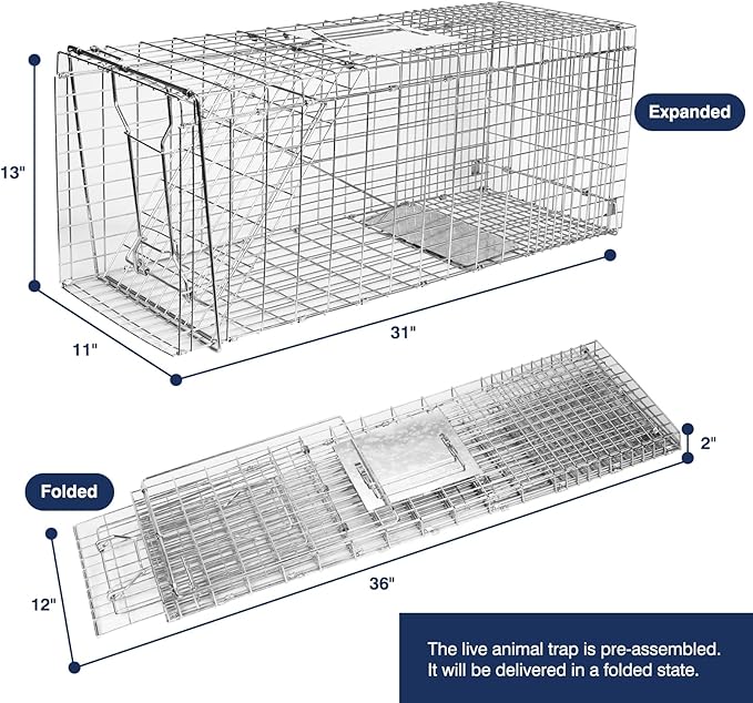 Animal Trap Cage, 31 Inch Live Traps for Raccoons Heavy Duty, Cat for Stray Cats, Squirrels, Raccoon, Rabbits, Possum, Skunk, Outdoor Small Animal Humane Catch & Release, Foldable