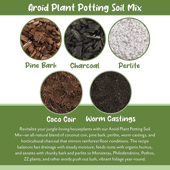 Aroid Plant Potting Soil Mix (8 Quarts), for Pothos Devil's Ivy, ZZ Plant, Chinese Evergreen, Dumb Cane, Philodendron, Syngonium, Alocasia, Colocasia Etc.