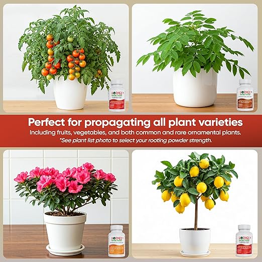 Hormex Rooting Powder Combo #3, 8, 16 (0.30-1.6 IBA) - Rooting Hormone for Common Home Garden Plants to Very Difficult Hardwood, Medicinal and Tree Cuttings - Root Stimulator for Plant Cloning