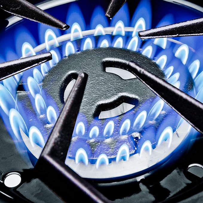 Broil King 958344 Regal S 590 Pro Propane Gas Grill, 5-Burner, Stainless Steel