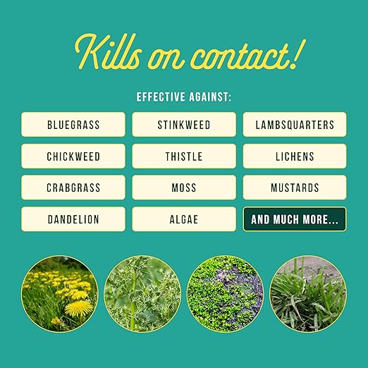 Sunday Weed Warrior, 32oz, 2 Pack - Grass & Weed Killer - Organic, Ready-to-Use Weed Killer Spray - Herbicide Spot Treatment - Kills Weeds, Grass, Algae and Moss