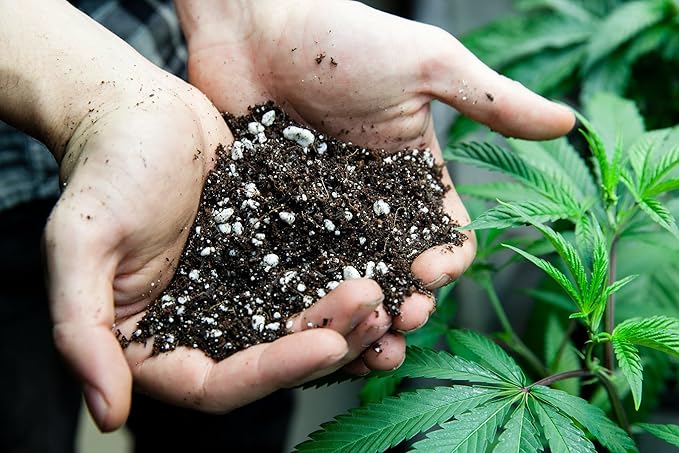 Organic Autoflower Plants Potting Soil Mix - Perfect Balance of Nutrients, Drainage, and Aeration for Thriving Autoflower Plants- 4 Quart