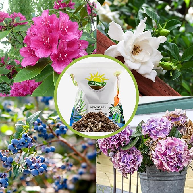 Acid Loving Plant Potting Soil Mix (12 Quarts), Premium Container Blend pH Balanced for Azaleas, Rhododendrons, Blueberries and More