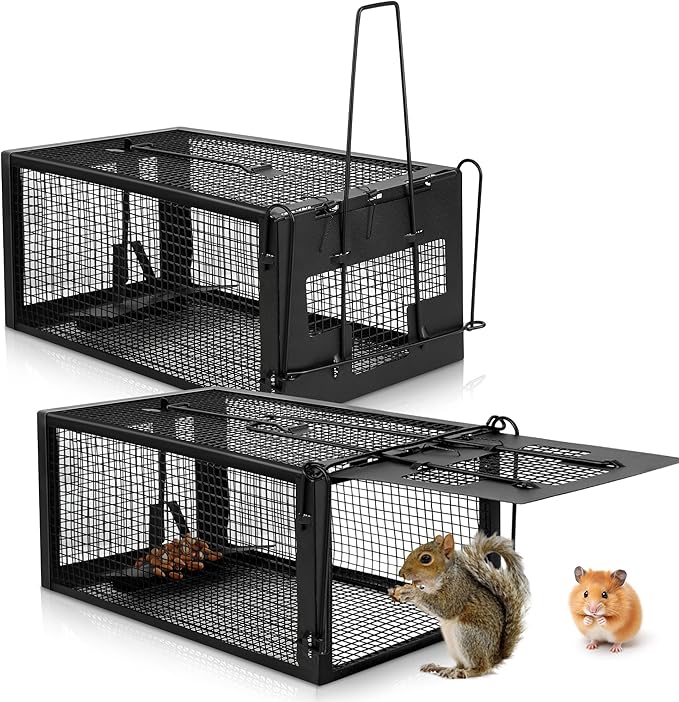 2 Pack Humane Rat Traps - Live Mouse Rat Cage Traps Catch and Release for Indoor Outdoor, Small Animals Traps, Easy to use(12.6''*5.5''*4.7'') Black