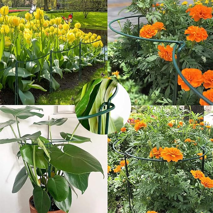 10 Pack Plant Support Stakes, 4 mm Thick 24 Inch Half Round Metal Garden Stakes, Plant Support Cages Ring for Peony Tomato Hydrangea Rose Flower Indoor Outdoor (10" Wide x 24" High)