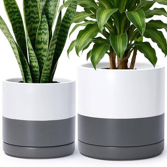 D'vine Dev 8.2 Inch & 10 Inch Ceramic Planter Pot for Plants with Drainage Hole and Saucer, Large Plant Pots Set, White/Speckled Grey, 94-G-L-6