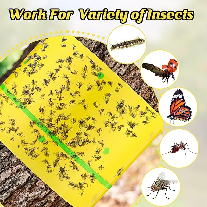 Qualirey 6 Rolls Spotted Lantern Fly Traps 30 Feet Each Roll Fly Tree Trap Sticky Strips Outdoor Fruit Glue Strips Disposable Tape Indoor Paper Sheets for Protecting Trees(Classic Color)