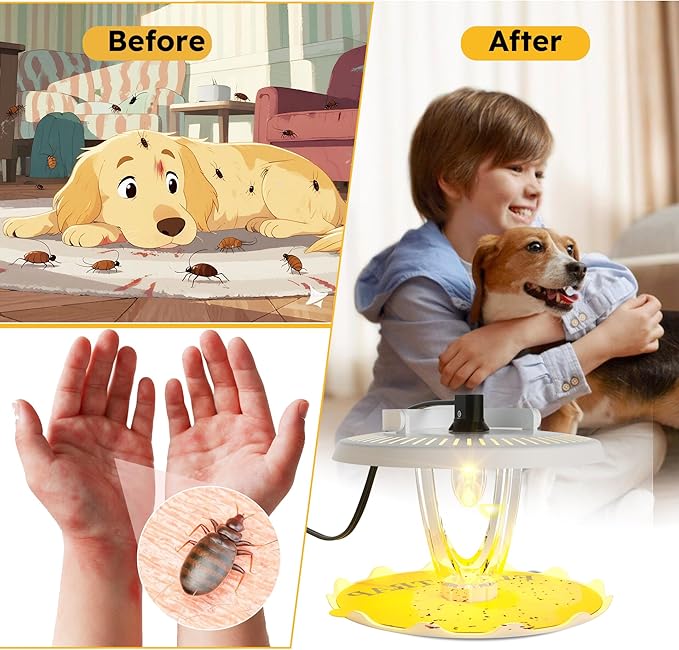 Flea Trap for Inside Your Home Indoor Electric Flea Light Catcher and Kiler for House 2 Pack with 8 Sticky Pads Refills and 4 Replacement Lightbulb