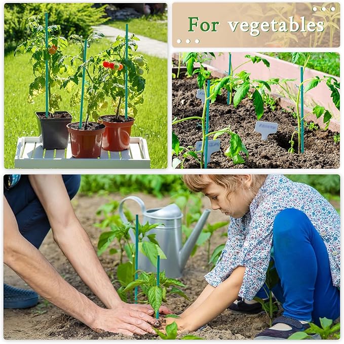 Plant Sticks 17 Inch &12 Inch Wood Plant Stakes 30 Pack Orchid Support Stick Sturdy Blue Green Bamboo Plant Holder Gardening Floral Picks Potted Plants Support