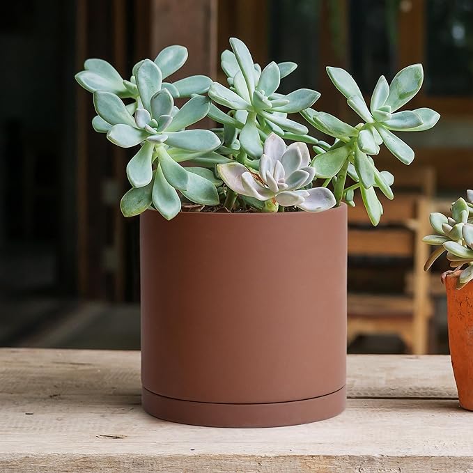 D'vine Dev 6 Inch Rust Terracotta Plant Pot with Drainage Hole and Saucer, Round Cylinder Planter Pot for Indoor Plants, 40-V-C-3