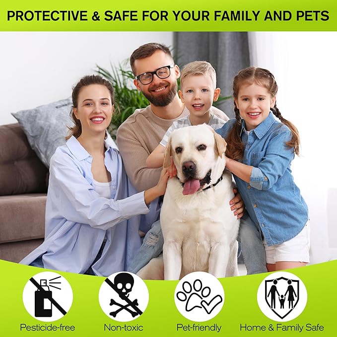 Qualirey 10 Pack Large Sticky Mouse Traps, 11 x 5.3 Inch Non-Toxic Bulk Mice Glue Trap, Rat Glue Boards Indoor Pest Control for Rodent and Insects, Snakes, Cockroaches, Spiders, and Scorpions