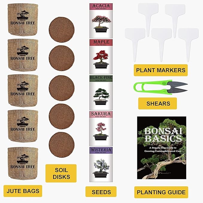 Indoor Starter Kit with Complete Planting Tools, Gardening DIY Gift for Plant Lovers