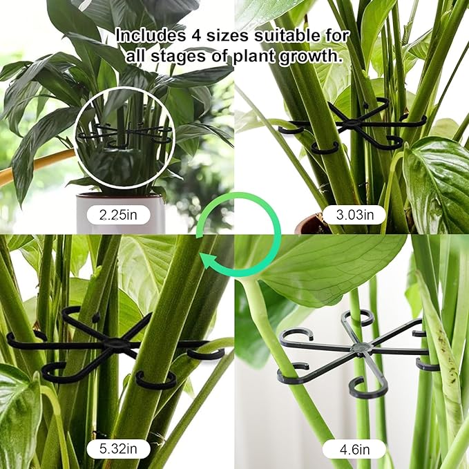 12pcs Climbing Houseplant Stem Supports,Plant stem Support Indoor Outdoor Use,Stem Hook Growth Accessories for Plant Garden, Promotes Upright Growth and Airflow(Black)