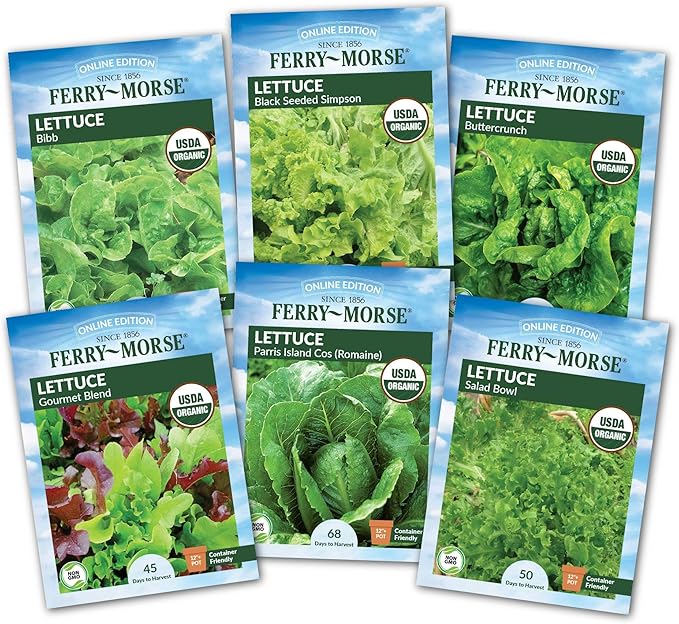 Jiffy Seed Starting Tray Kit, 36 Cell 36mm Peat Pellets, 2 Pack with Ferry-Morse Cold Hardy Organic Lettuce Seed Variety Pack