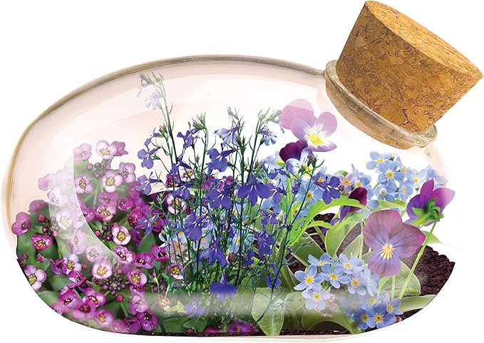 Mini Office Flower Glass Terrarium Starter Kit with Complete Supplies - The Flowering Mouse Tiny Garden - Easy to Maintain IndoorPlants - Perfect for The Office Or Home Tabletop