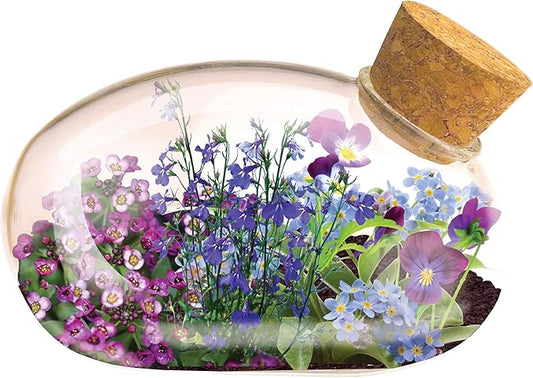 Mini Office Flower Glass Terrarium Starter Kit with Complete Supplies - The Flowering Mouse Tiny Garden - Easy to Maintain IndoorPlants - Perfect for The Office Or Home Tabletop