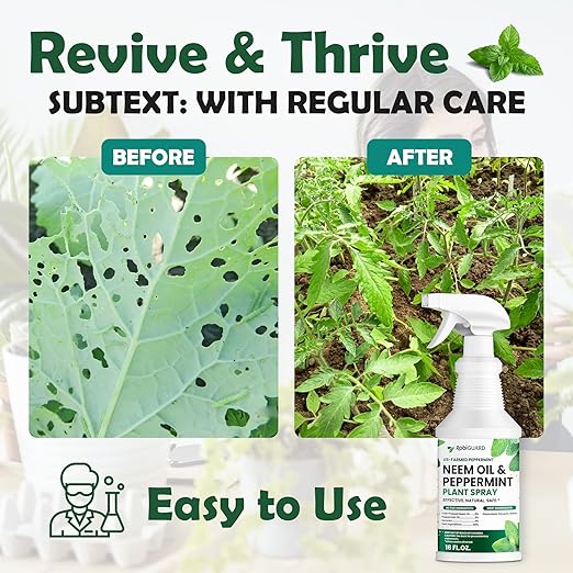 Neem Oil Spray for Plants & Peppermint Spray, 16oz | All-Natural Cold-Pressed Neem Oil for Indoor and Outdoor | Easy to Use