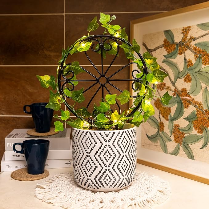 2 Pcs 14in Indoor Metal Garden Circle Plant Trellis for Houseplant Climbing Pot Plants, Black (Style D)