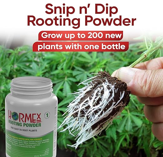 Hormex Rooting Powder #1 (0.10 IBA) - Rooting Hormone for Delicate Houseplants, Garden Herbs & Succulent Cuttings - Plant Root Stimulator for Cloning - Strong Roots for Maximum Propagation Success