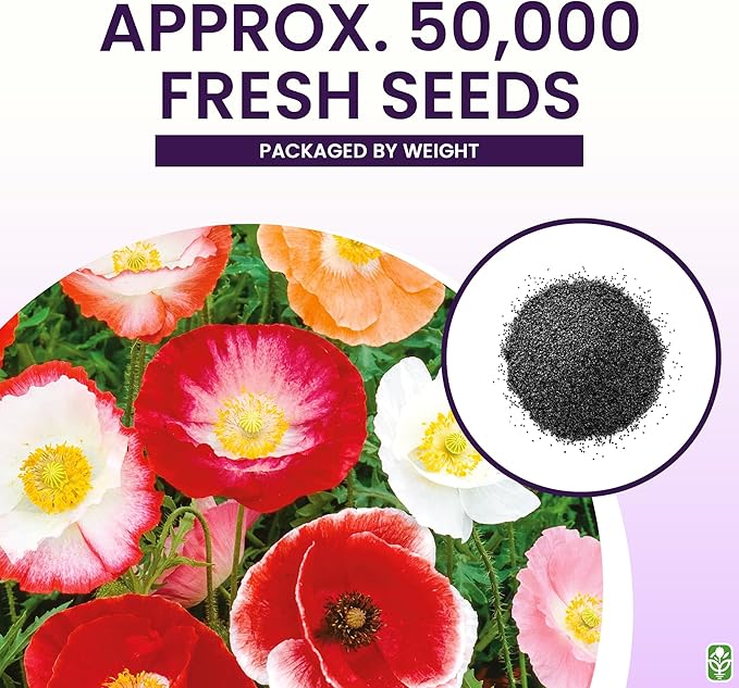 50,000 Shirley Poppies Seeds: Pastel Poppy Seeds