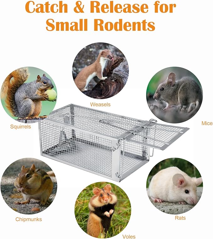 Humane Rat Trap, Chipmunk Rodent Trap That Work for Indoor and Outdoor Small Animal - Mouse Voles Hamsters Live Cage Catch and Release 1 Pack