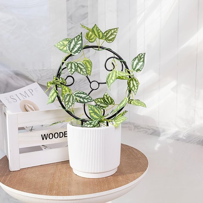 2 Pcs Small Indoor Metal Garden Plant Trellis for Climbing House Pot Plants, Black (Style F)