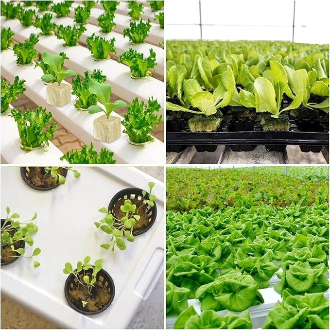 Legigo 1.2 Inch Rockwool Cubes Seed Starter Plugs for Hydroponics, RockWool Planting Grow Cubes for Hydroponic Tower Garden Soilless Cultivation Plants Germination Cutting Clone (2 Sheet, 72 Plugs)