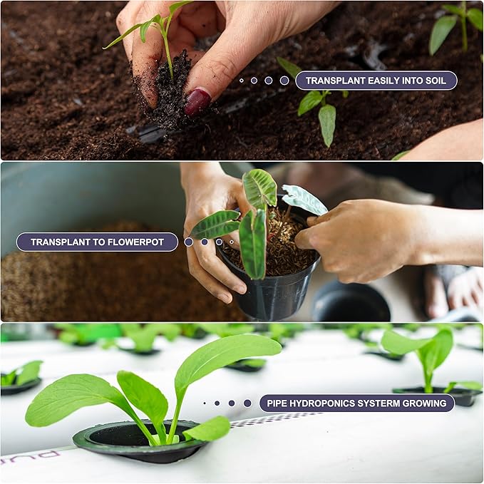 125 PCS Hydroponic Pods for Aerogarden, Grow Anything Seed Pod Kit with 50 Grow Sponges, 50 Labels 12 Grow Baskets, 12 Grow Domes and 1 Tweezers - Compatible with Hydroponics Growing System Kit