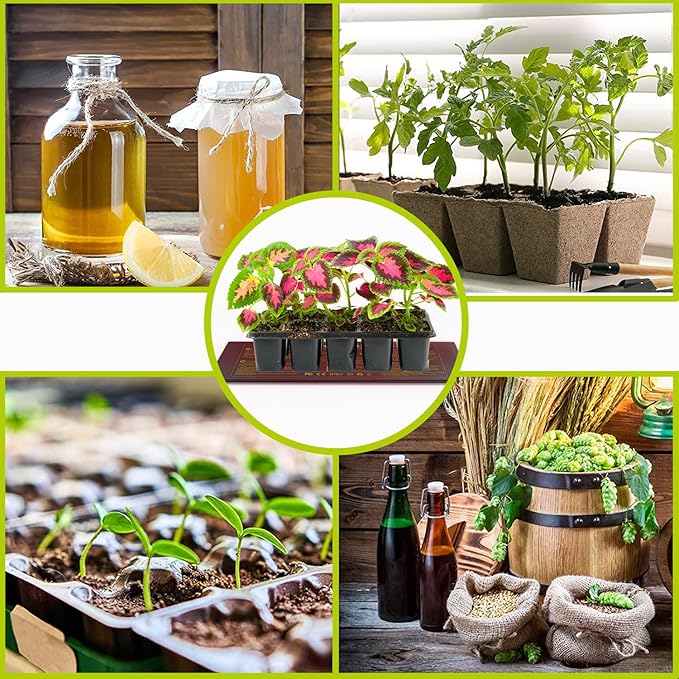 Seedling Heat Mat 10X20.75`` with Thermostat Durable Waterproof Warm Hydroponic Plant Heating Pad Temperature Controller Auto Off Timer for Seed Starting Germination Plant Propagation (2 Heat Pad)