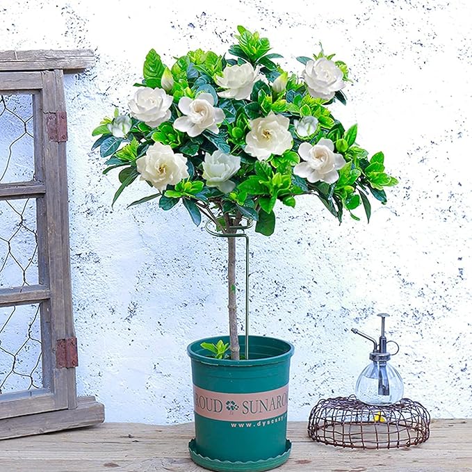 Joyhalo 20 Pack Plant Support Stakes 36 Inches, Plant Stakes, Flower Stakes with 24 Twist Ties, Garden Sticks for Plants Hibiscus, Sunflower, Red Hot Poker, Hydrangea, Tomato, Sapling Etc