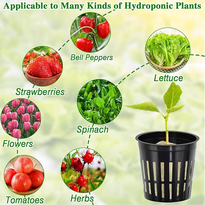 Halatool 72PCS 1.2 Inch Rockwool Cubes with 56PCS 2 Inch Net Cups for Hydroponics Great Kratky Hydroponics Kit for Soilless Cultivation Cloning Plants Growing Seeds