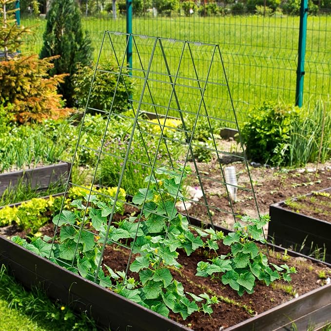 AGTEK 30" x 56" Foldable Cucumber Trellis with Zip Ties Plant Support A Frame Metal Trellis for Climbing Plants, Cucumber, Vegetable