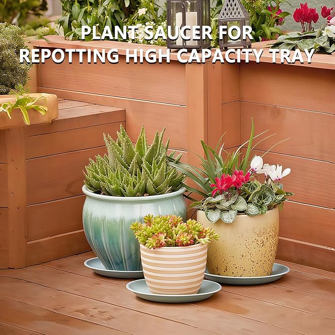 6 Pack 12 Inch Large Gray Plant Saucer Trays, Durable Heavy Duty Plastic PP Planter Bases, Round Water Catcher Plates and Drip Trays for Indoor Outdoor Gardening