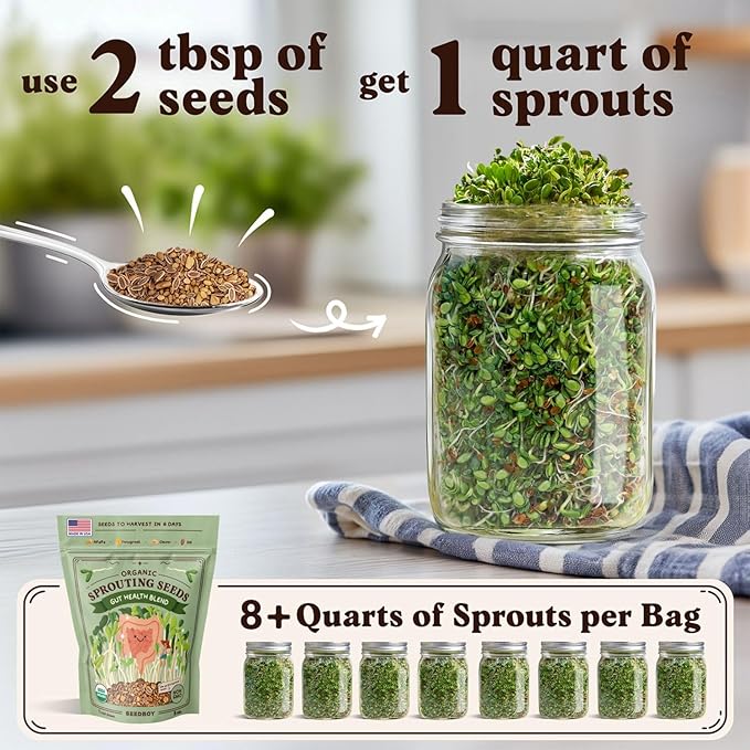 Seedboy Organic Sprouting Seeds - Gut Health Blend - Non-GMO, USA Grown Microgreens Mix - Clover, Alfalfa, Fenugreek, Dill - Makes 8 Quarts of Sprouts, 24 Servings (8 oz) (Gut Health Blend)