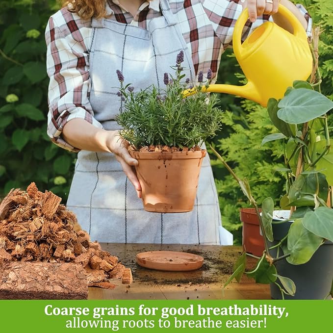 Riare 10 Pack Coco Chips Substrate for Plants- 11lb 100% Organic Coconut Husk Brick with Low EC and pH Balanced, High Expansion Coconut Substrate Coco Husk Mulch for Garden Flowers, Herbs, Planting