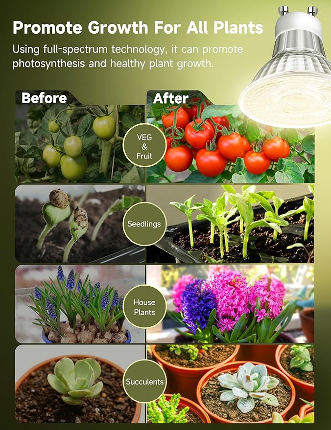 6W LED GU10 Grow Light Bulb, Natural White 4000K Full Spectrum Plant Light for Indoor Plants, E26 Base, 6 Pack