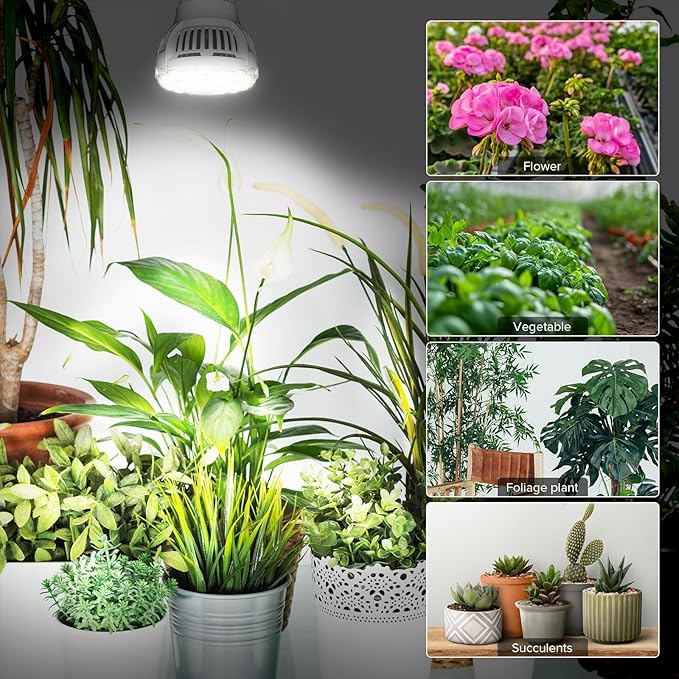 Grow Light Bulbs, A15 7W Plant Light Bulb for Indoor Growing, High PPFD, Full Spectrum, 60W Equivalent, E26 Base, LED Grow Lights for Indoor Plants, Seed Starting