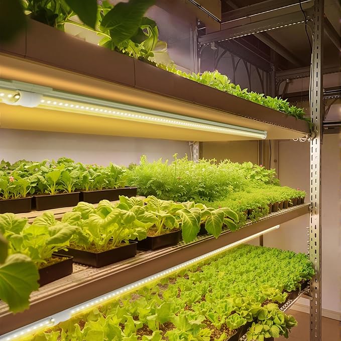 Barrina Full Spectrum LED Grow Light, 168W(4 x 42W), Grow Light Strips for Indoor Plant, 4FT Plant Grow Light, T8 Growing Lamp Fixture, Yellow, 4-Pack