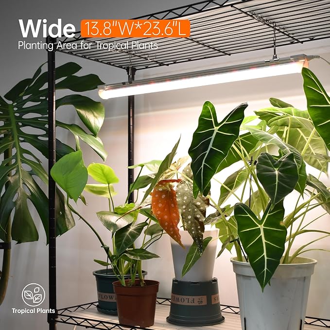 Plant Shelf with Grow Light with Timer, Plant Stand with Adjustable Rack and Wheels, 3 Pack 72W T8 2FT Full Spectrum Grow Lights for Indoor Plants, Seed Starting, Seed Tray, 23.5"x13.8"x59"