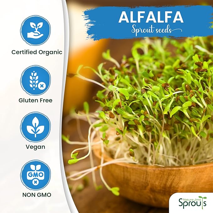 Nature Jims Sprouts Alfalfa Seed – 16 Oz Organic Sprouting Seeds – Non-GMO Premium Alfalfa Seeds – Resealable Bag for Longer Freshness – Rich in Vitamins, Minerals, Fiber