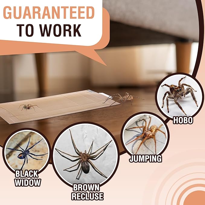 Qualirey 12 Pack Spider Traps Indoor for Brown Recluse Spiders, Extra Sticky Large Insect Glue Boards for Black Widows, Sac, Wolf and Other Crawling Bugs Inside Home