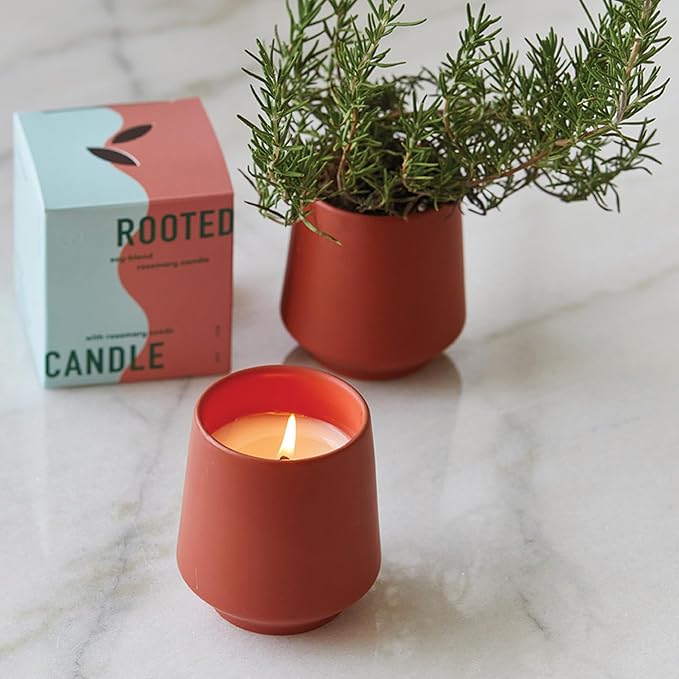 Modern Sprout Rooted Candle (Pack of 3) - 2 in 1 Scented Candles with Seeds That Grows into Plants - 6 oz Soy Candle with 42 hr Burn time in Matte Glaze Ceramic Vessel - Rosemary, Thyme, & Lavender
