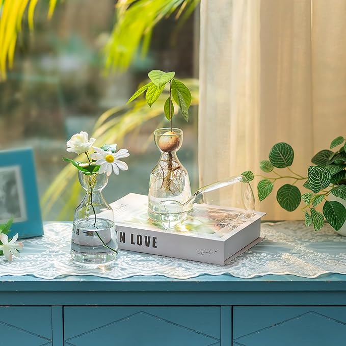 Glasseam Avocado Glass Bud Vase, Set of 6 Acorn Bulb Vase, Cute Clear Small Vases for Home Room Table Decor, Hydroponic Plant Propagation Jar for Flowers Stems Clippings