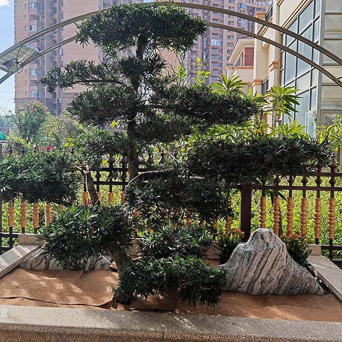 2 Rolls 16x80 Inch(40cm*200cm) Coco Liner Roll Natural Coconut Fiber mat Coconut Liners for Planter Flower Basket No-Slip Ice and Snow Carpet Mats Animal pet pad